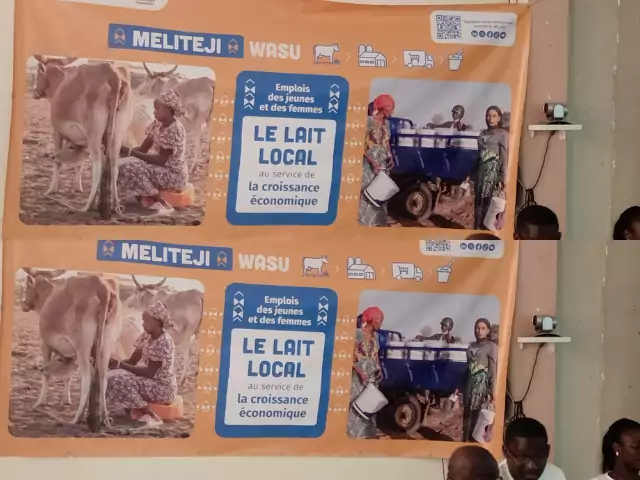 MELITEJI-WASU : Un nouveau souffle pour la filière laitière locale au Sénégal